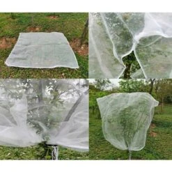 Rete Per Alberi Da Frutto 1,8 M X 1,8 M, Rete Anti-insetti Per Piante, Rete Sottile Anti-insetto Con Corde Di Scontro, Rete Anti-uccello Per La Protezione Della Frutta, Albero -Protezioni per piante in Italia 100197475 5