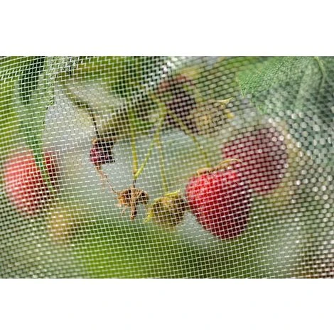 Rete Anti Moscerino Dei Piccoli Frutti 4 X 5m 2 Rete Anti Moscerino Dei Piccoli Frutti 4 X 5m - immagine 2