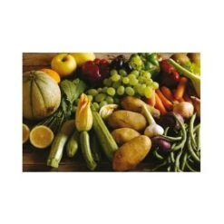 Zolfo Correttivo 93 Giallo Uso Agricolo Verdura Agricoltura Biologico Kg 25 -Protezioni per piante in Italia 13192522 3