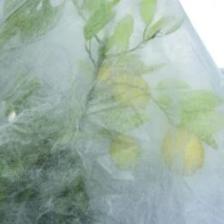 CAPPUCCIO TNT BIANCO GR 17 100X160 7 CAPPUCCIO TNT BIANCO GR 17 100X160 -Protezioni per piante in Italia 15902360 4