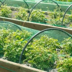 Rete Anti Uccelli In Polietilene 4x10m Con Maglia Di 15x15mm Resistente A Intemperie E Raggi UV -Protezioni per piante in Italia 15906194 3