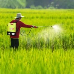 Pompa Irroratrice Diserbante A Spalla A Batteria 16Ah 16Lt Autonomia 6 Ore 9 Pompa Irroratrice Diserbante A Spalla A Batteria 16Ah 16Lt Autonomia 6 Ore -Protezioni per piante in Italia 16168070 5