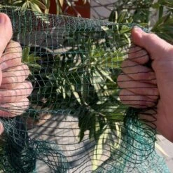 Rete Anti-grandine Anti-uccelli M 2x10 8 Rete Anti-grandine Anti-uccelli M 2x10 -Protezioni per piante in Italia 17358314 4