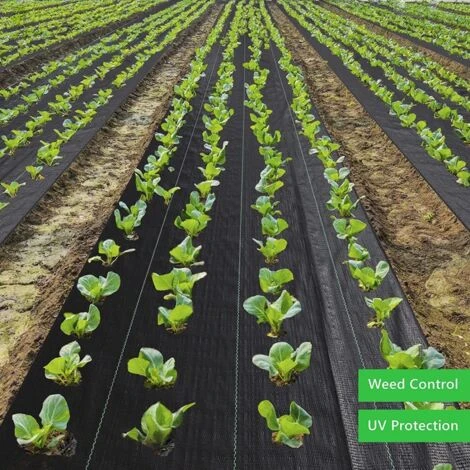 Telo Pacciamatura Antiradice M 5,25x10 5 Telo Pacciamatura Antiradice M 5,25x10 - immagine 5