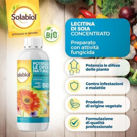 SOLABIOL LECITINA DI SOIA X 1 Lt FUNGICIDA 2 SOLABIOL LECITINA DI SOIA X 1 Lt FUNGICIDA - immagine 2