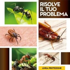 Albakill Insetticida Antiformiche Ambienti Esterni X 500 G Barattolo -Protezioni per piante in Italia 19604269 4