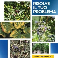 BORO COMPLEX 1 Kg -Protezioni per piante in Italia 19604342 4