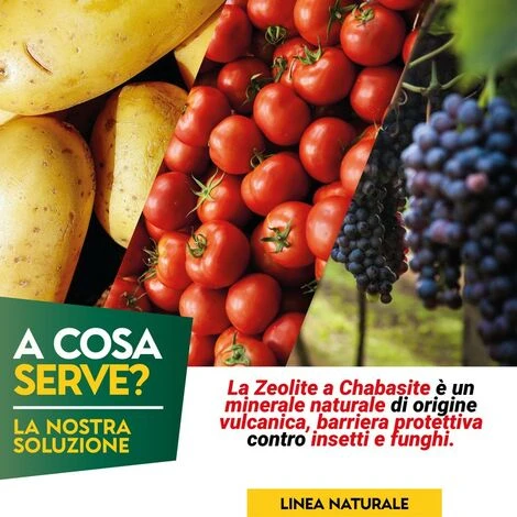 Zeous Zeolite In Polvere X 5 Kg Insetticida Fungicida Acaricida 2 Zeous Zeolite In Polvere X 5 Kg Insetticida Fungicida Acaricida - immagine 2
