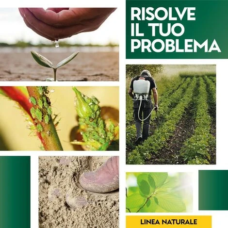 Zeous Zeolite In Polvere X 5 Kg Insetticida Fungicida Acaricida 4 Zeous Zeolite In Polvere X 5 Kg Insetticida Fungicida Acaricida - immagine 4