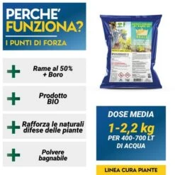 OSSICLORURO DI RAME REALE 50 - 1 Kg -Protezioni per piante in Italia 19604645 3