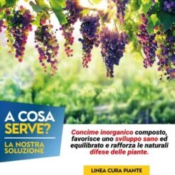 OSSICLORURO DI RAME REALE 50 - 5 Kg -Protezioni per piante in Italia 19622649 2