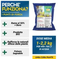 OSSICLORURO DI RAME REALE 50 - 5 Kg -Protezioni per piante in Italia 19622649 3