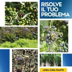 OSSICLORURO DI RAME REALE 50 - 5 Kg -Protezioni per piante in Italia 19622649 4
