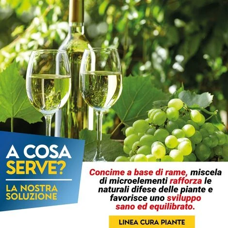 POLTI REALE 20 - 5 Kg 2 POLTI REALE 20 - 5 Kg - immagine 2