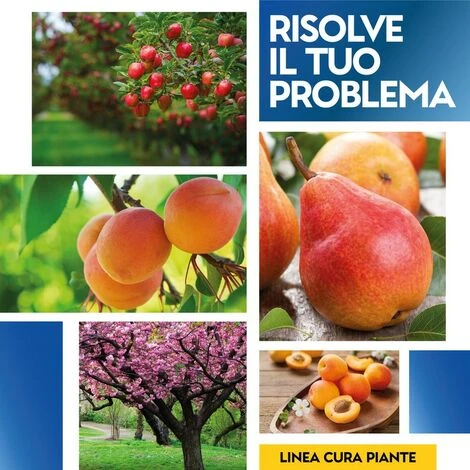 POLTI REALE 20 - 5 Kg 4 POLTI REALE 20 - 5 Kg - immagine 4