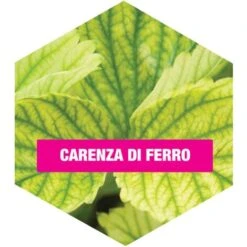 Concime BIO Alt Microcarenze Flortis 100 Gr -Protezioni per piante in Italia 20106589 3