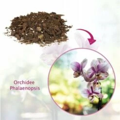Cifo TORFY ORCHIDEE Terra Terriccio Substrato 3 LT -Protezioni per piante in Italia 24354479 4