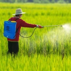 Pompa Irroratrice Spalleggiata 16 Litri Con Batteria A Peso 5Kg Irroratore -Protezioni per piante in Italia 27577022 3