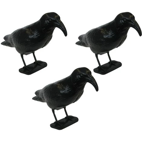 OFFERTA 3 STATUE DISSUASORE SPAVENTA PASSERI PICCIONI COLOMBI A FORMA DI CORVO 1 OFFERTA 3 STATUE DISSUASORE SPAVENTA PASSERI PICCIONI COLOMBI A FORMA DI CORVO