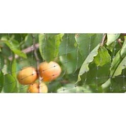 RETE ANTIUCCELLI PER PROTEZIONE FRUTTI ORTO PIANTE DA UCCELLI MT 4X250 (37603) -Protezioni per piante in Italia 29555092 3