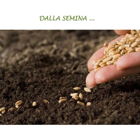 Concime Liquido Con Azoto Fosforo Potassio Fertilizzante Per Giardino E Orto Di Casa 3 Concime Liquido Con Azoto Fosforo Potassio Fertilizzante Per Giardino E Orto Di Casa - immagine 3