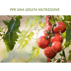 Concime Liquido Con Azoto Fosforo Potassio Fertilizzante Per Giardino E Orto Di Casa 8 Concime Liquido Con Azoto Fosforo Potassio Fertilizzante Per Giardino E Orto Di Casa -Protezioni per piante in Italia 30677149 4