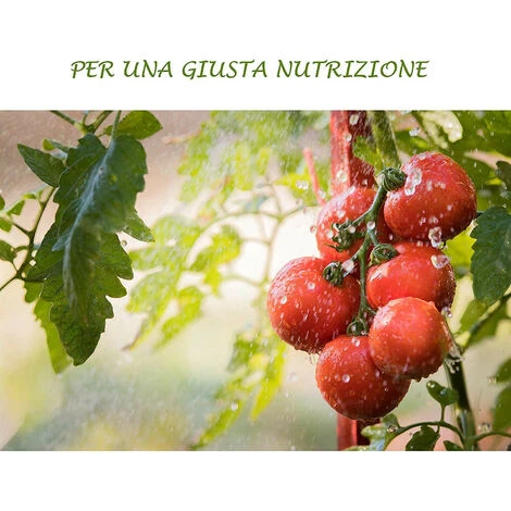 Concime Liquido Con Azoto Fosforo Potassio Fertilizzante Per Giardino E Orto Di Casa 4 Concime Liquido Con Azoto Fosforo Potassio Fertilizzante Per Giardino E Orto Di Casa - immagine 4