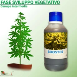 Bio A.L.T Concime,Canapa Coltivazione Indoor, Fertilizzante, Stimola La Crescita E La Maturazione Dei Fiori Della Cannabis Trio -Protezioni per piante in Italia 30677627 3
