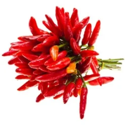 CONCIME NUTRIENTE TOTALE Professionale 20-20-20 + ESTRATTI DI ALGHE MARINE 1 KG -Protezioni per piante in Italia 30694304 4