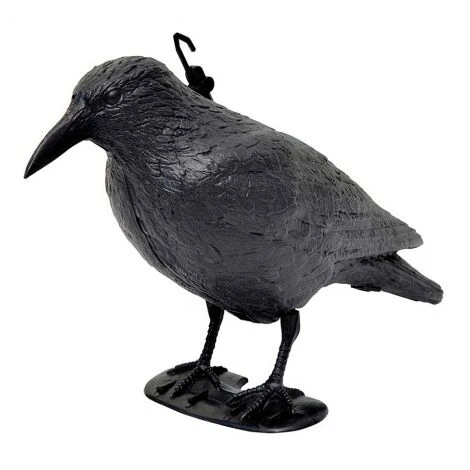 Corvo Dissuasore Per Volatili - Verdemax 1 Corvo Dissuasore Per Volatili - Verdemax