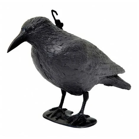 Corvo Dissuasore Per Volatili - Verdemax 2 Corvo Dissuasore Per Volatili - Verdemax - immagine 2