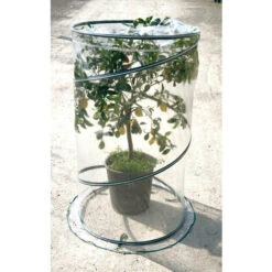 Pop-up Citrus Cm 90xh150