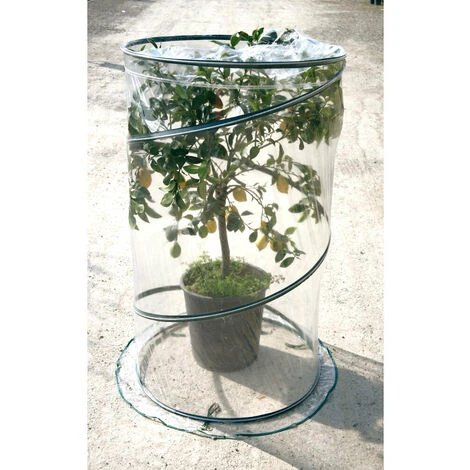 Pop-up Citrus Cm 90xh150 1 Pop-up Citrus Cm 90xh150