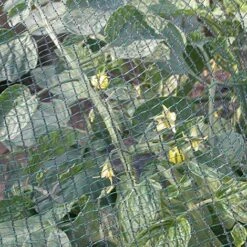 Tenax Rete Antigrandine Tessuta, Defender, 4,00 X 5 M, Verde -Protezioni per piante in Italia 33403538 3