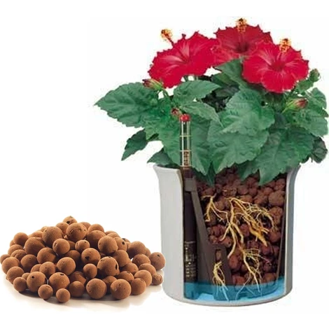 Argilla Espansa In Sacco Per Il Rinvaso 7 Litri Per Giardino Giardinaggio 1 Argilla Espansa In Sacco Per Il Rinvaso 7 Litri Per Giardino Giardinaggio