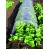 Serre A Tunnel Blinky Pvc Cm 500X45H