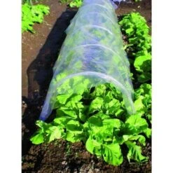 Serre A Tunnel Blinky Pvc Cm 500X45H