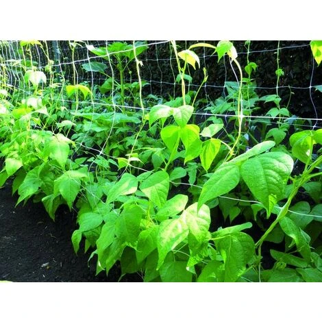 Rete Sostegno Per Ortaggi Piante Rampicanti E Fiori Colore Bianco 1,2x30 Mt Confine 1 Rete Sostegno Per Ortaggi Piante Rampicanti E Fiori Colore Bianco 1,2x30 Mt Confine