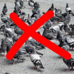 4x Cornacchia Spaventapasseri, Allontana Piccioni E Gufi, Corvo Volante Per Il Giardino, Statua Decorativa, Nero -Protezioni per piante in Italia 48843736 5