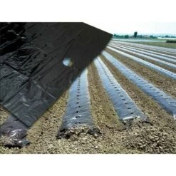 TELO PACCIAMATURA FORATO FILM POLIETILENE PER ORTO FORI PASSO 30 10/100 MT 12828 10 MT (12828)