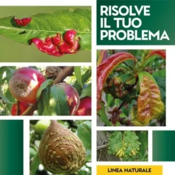 LECITINA IN POLVERE 100 G -Protezioni per piante in Italia 51182034 4