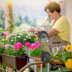 Protezioni per piante in Italia -Protezioni per piante in Italia 51975054 2