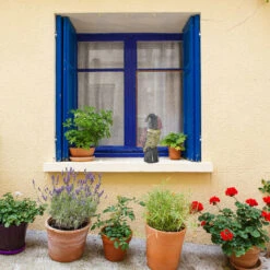 2x Gufo Spaventapasseri, Con Testa Rotante, Figura Deco Verticale, Spaventapasseri Da Giardino, Balcone, Colorato -Protezioni per piante in Italia 51975054 3