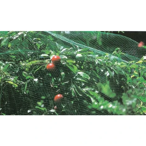 RETE DI PROTEZIONE ANTIUCCELLI H2 X10MT. PZ 1 1 RETE DI PROTEZIONE ANTIUCCELLI H2 X10MT. PZ 1