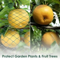 Randaco Rete Di Laghetto 2m X 5m Heron Protection Rete Isilon Rete Di Protezione Decidua Rete Di Protezione Rete Rete Decidua UV Teacher Around Fish Pond Network -Protezioni per piante in Italia 57705982 4