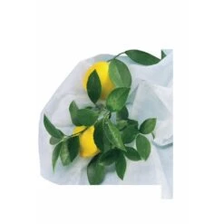 Set Di 2 Coperture Per Lo Svernamento Hiverzip - 2 X 1,80 M Nortene -Protezioni per piante in Italia 58404075 3