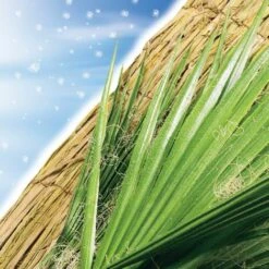 Tappetino Per Svernamento Hivermat - 1 X 1,50 M Nortene -Protezioni per piante in Italia 58404214 3