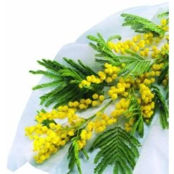 Velo Invernale Hivertex 2 X 10 M Nortene -Protezioni per piante in Italia 58404603 3