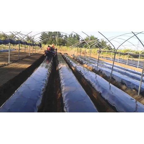 TELO PACCIAMATURA 110CM X 250 METRI NO FORI FILM POLIETILENE ANTI ERBA PER ORTO 2 TELO PACCIAMATURA 110CM X 250 METRI NO FORI FILM POLIETILENE ANTI ERBA PER ORTO - immagine 2