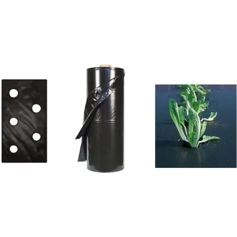 TELO PACCIAMATURA 110CM X 50 M 2 FORI SFALSATO 25-40 FILM POLIETILENE ANTI ERBA 1 TELO PACCIAMATURA 110CM X 50 M 2 FORI SFALSATO 25-40 FILM POLIETILENE ANTI ERBA